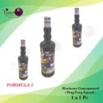 Ding Fong Squash _ Blueberry Concentrated Formula 2