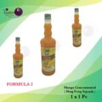 Ding Fong Squash _ Mango Concentrated Formula 2