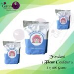 Fondant Icing Color 600g (Fleur Couleur)