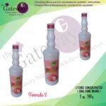 Ding Fong Squash _ Lychee Concentrated Formula 2